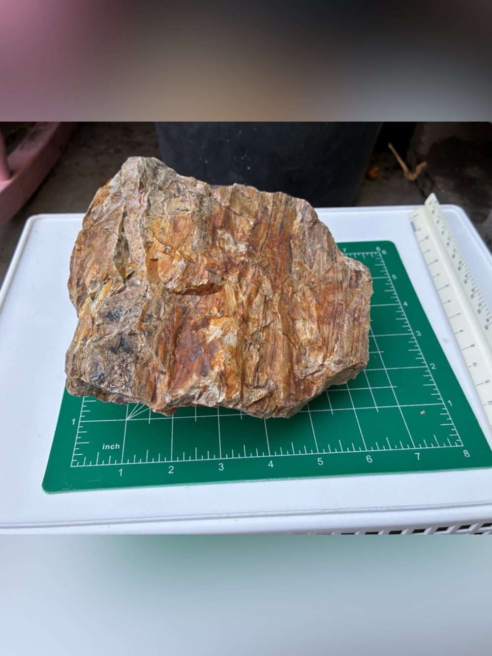 Large Rare Petrified Wood Specimen Rough 6” x7”, Over 5 Lbs - Picture 14 of 16